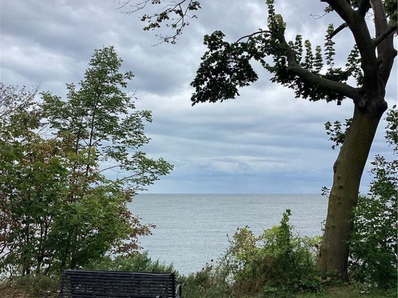 317 Groveland Club Drive, Cleveland, OH 44110 Photo 4