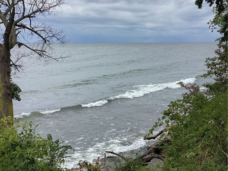 317 Groveland Club Drive, Cleveland, OH 44110 Photo 5