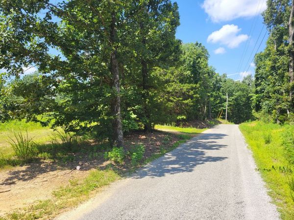 0 Strawbery Gables, Unit 3, Holladay, TN 38341