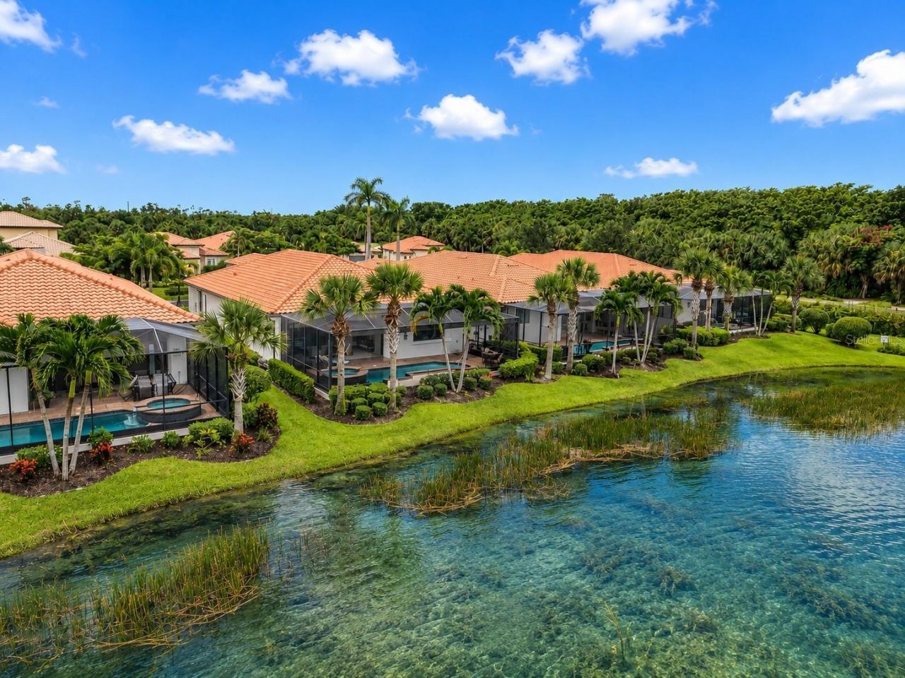 10264 Porto Romano Drive, Miromar Lakes, FL 33913 Photo
