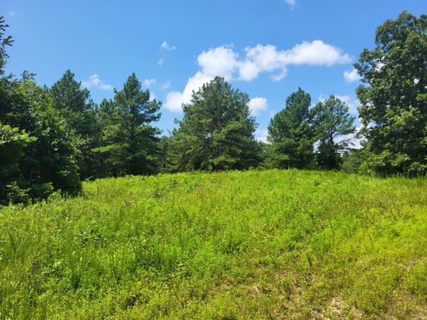 0 Strawberry Gables, Unit 5, Holladay, TN 38341