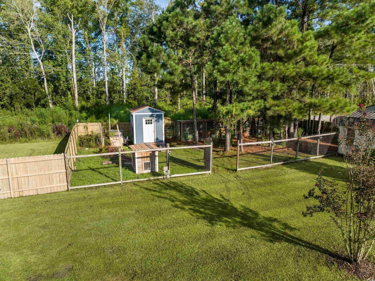 10625 S Highway 905 Photo 26