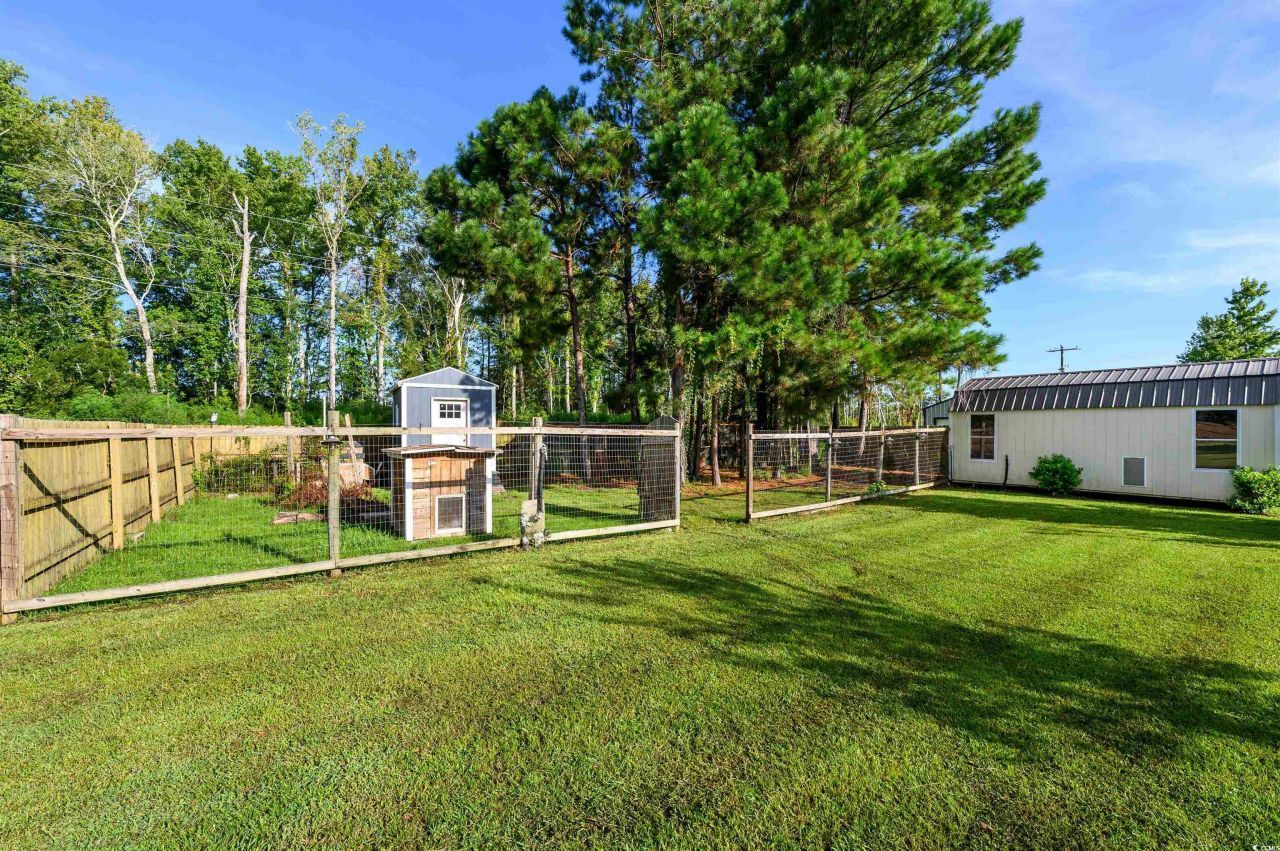 10625 S Highway 905 Photo 28