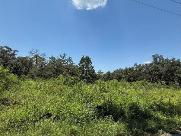 1356 MONTZEN ROAD, DAVENPORT, FL 33896