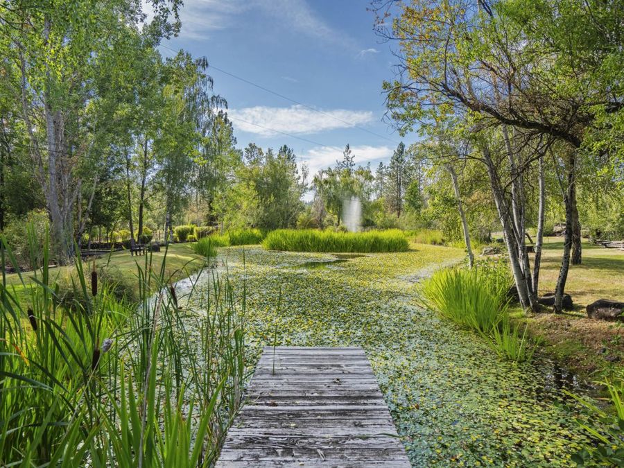 Property Image 58