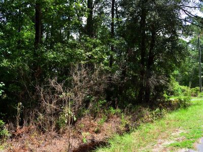 0 Cherry Hill Road, Hollywood, SC 29449