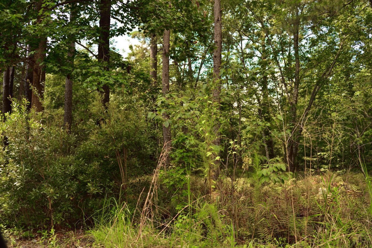 0 Cherry Hill Road Photo 4