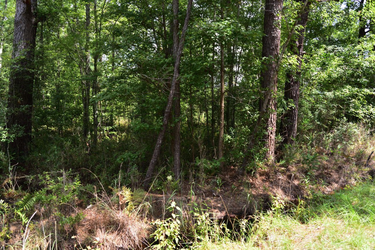 0 Cherry Hill Road Photo 5