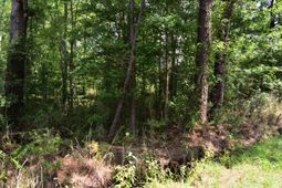 0 Cherry Hill Road photo 4