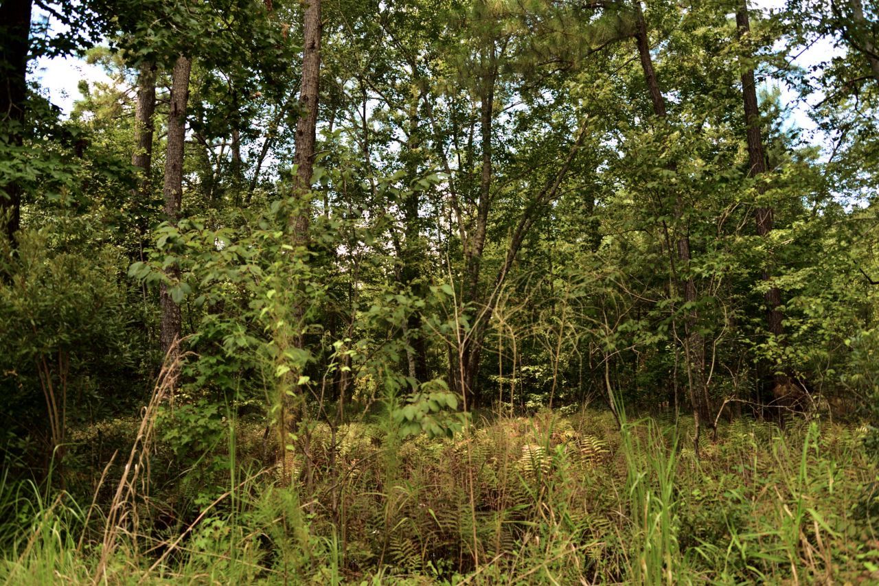 0 Cherry Hill Road Photo 6