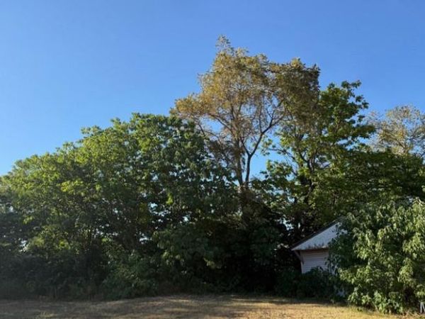 105/107 Lombar St, Iberia, MO 65486