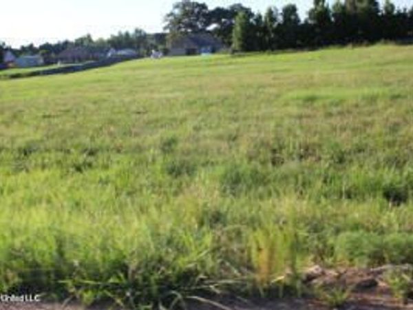4 Chapel Hill Subdivision, Holly Springs, MS 38635