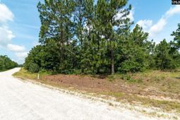 216 Hound Hollow Drive  photo 4