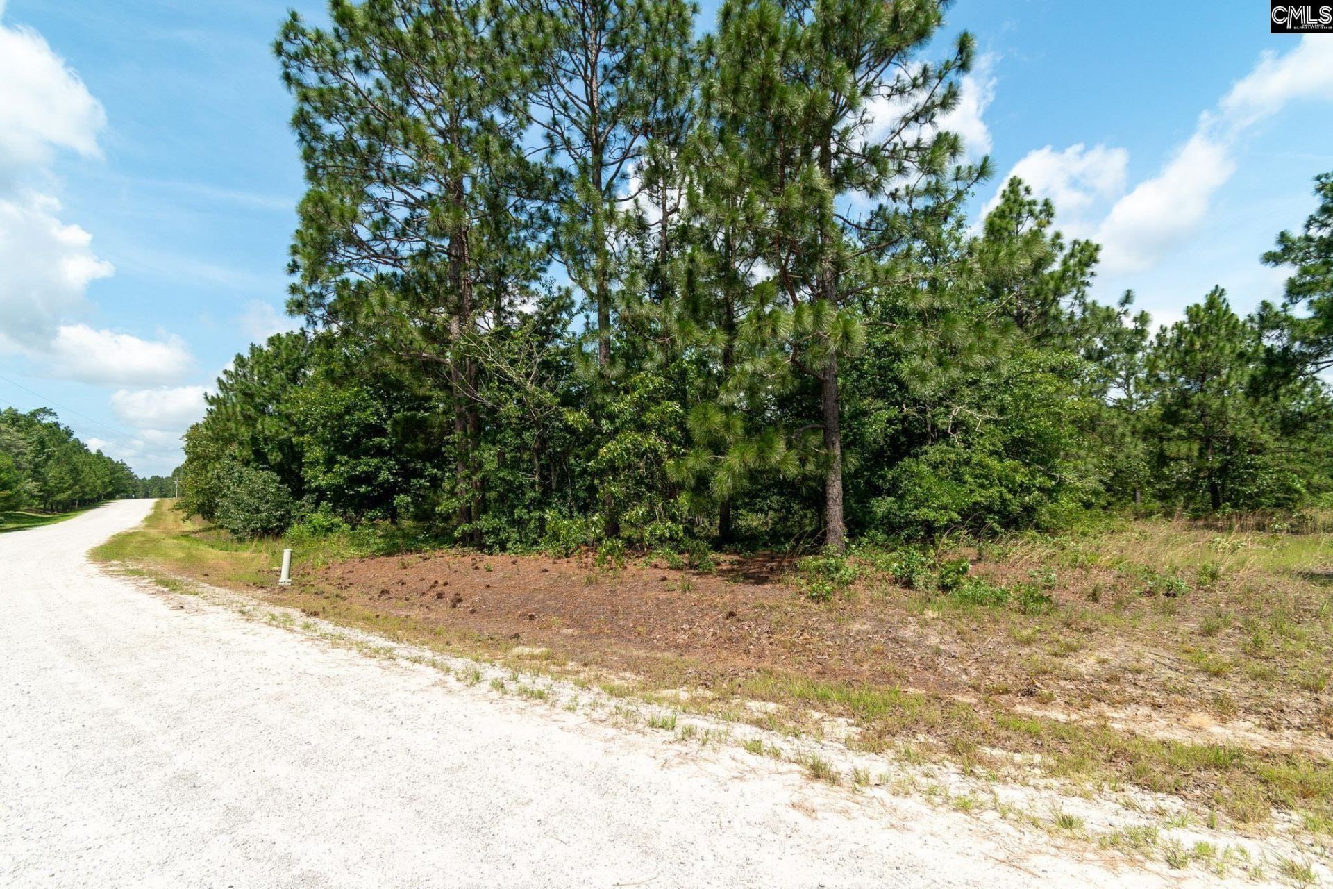 216 Hound Hollow Drive Photo 4