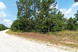 216 Hound Hollow Drive photo 4
