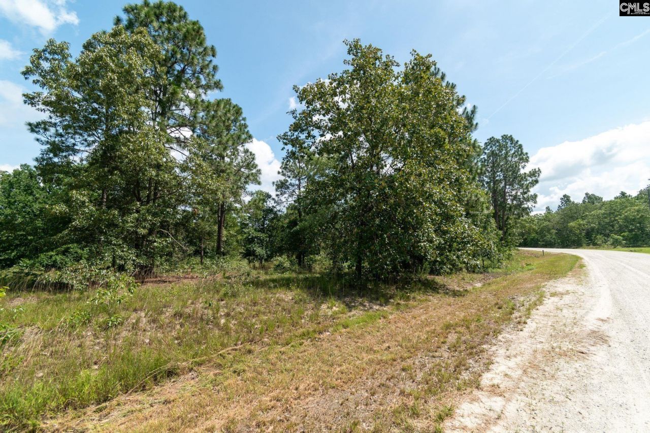 216 Hound Hollow Drive Photo 6