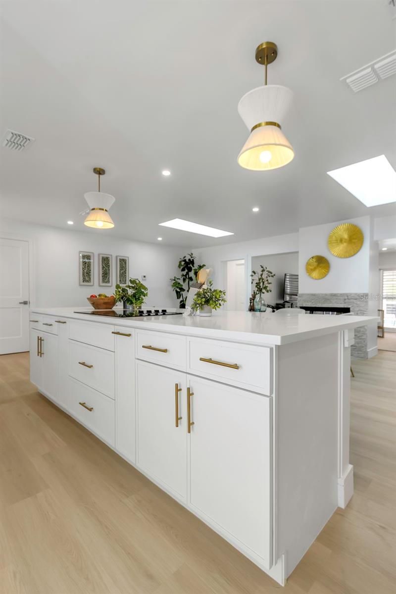 220 Driftwood Drive S, Palm Harbor, FL 34683 Photo