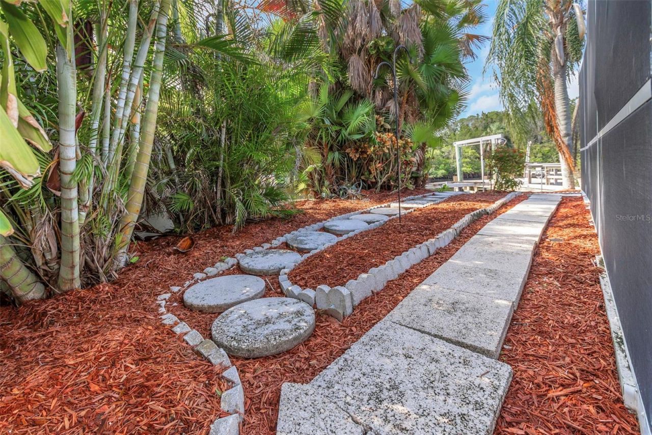220 Driftwood Drive S, Palm Harbor, FL 34683 Photo