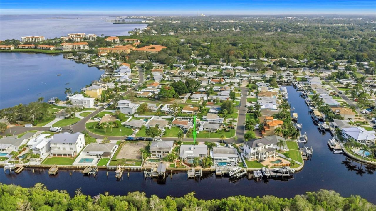220 Driftwood Drive S, Palm Harbor, FL 34683 Photo