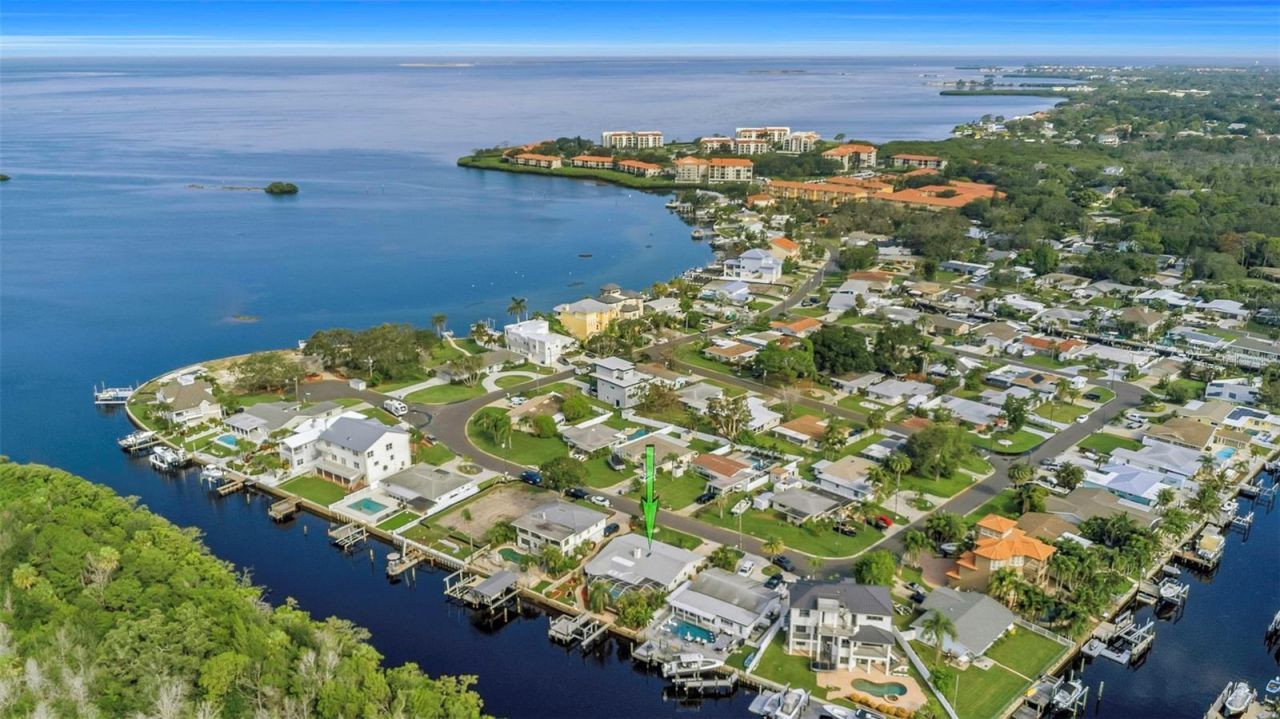 220 Driftwood Drive S, Palm Harbor, FL 34683 Photo