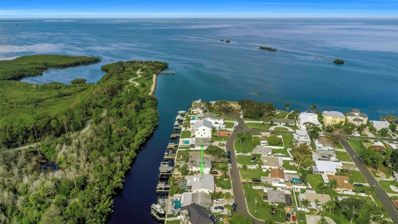 220 Driftwood Drive S, Palm Harbor, FL 34683 Photo