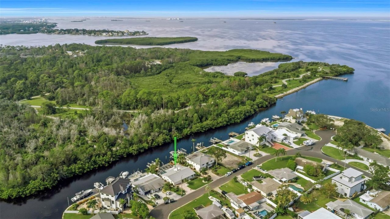220 Driftwood Drive S, Palm Harbor, FL 34683 Photo