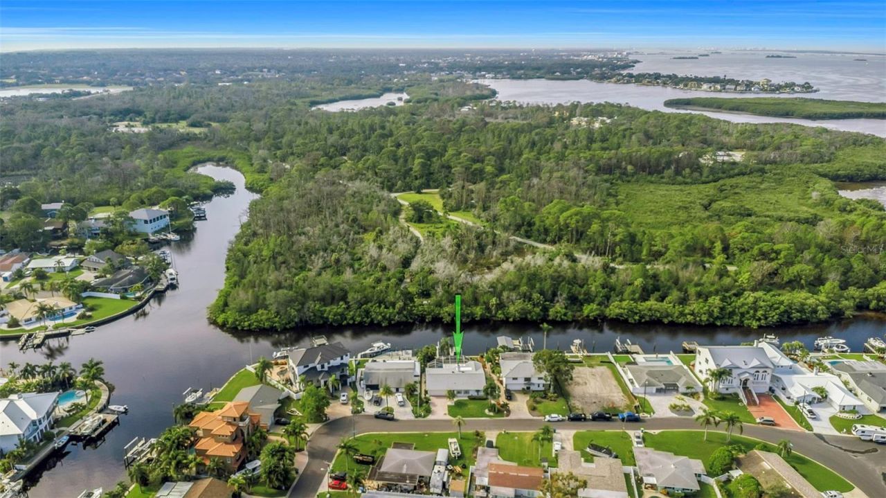 220 Driftwood Drive S, Palm Harbor, FL 34683 Photo