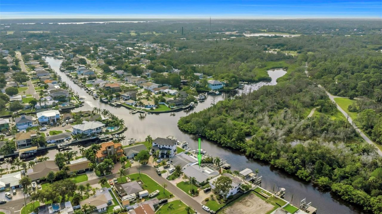 220 Driftwood Drive S, Palm Harbor, FL 34683 Photo
