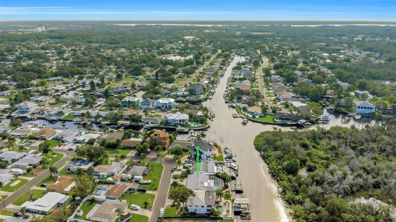 220 Driftwood Drive S, Palm Harbor, FL 34683 Photo
