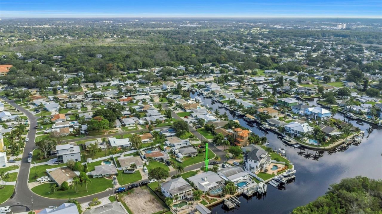 220 Driftwood Drive S, Palm Harbor, FL 34683 Photo