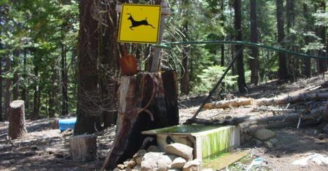 2729 Water Way, Clio, CA 96106 Photo