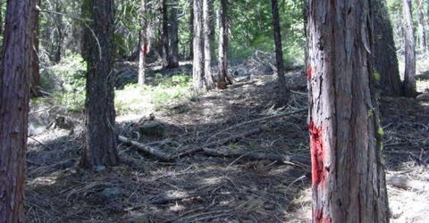 2729 Water Way, Clio, CA 96106 Photo