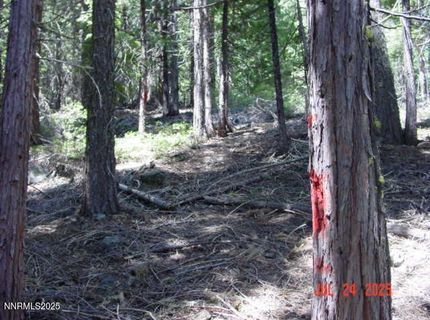 2729 Water Way, Clio, CA 96106 Photo