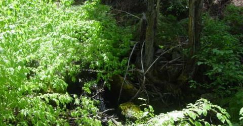 2729 Water Way, Clio, CA 96106 Photo