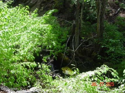 2729 Water Way, Clio, CA 96106 Photo