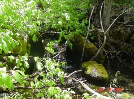 2729 Water Way, Clio, CA 96106 Photo