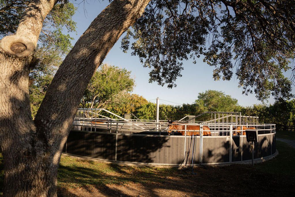 2780 Skipiks Way, Wellington, FL 33470 Photo