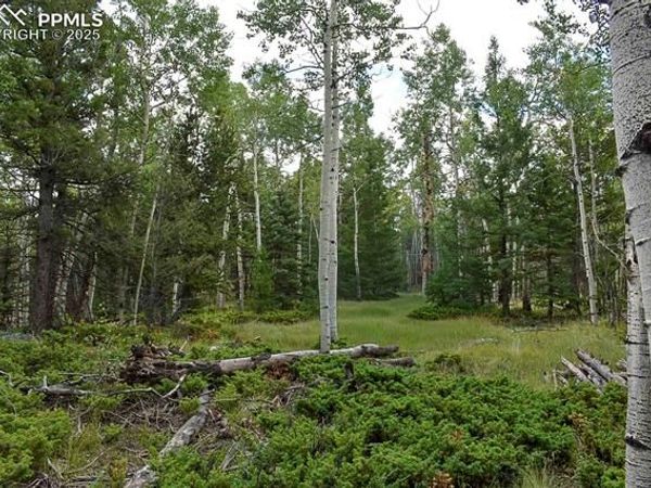 205 Timberline Drive, Guffey, CO 80820