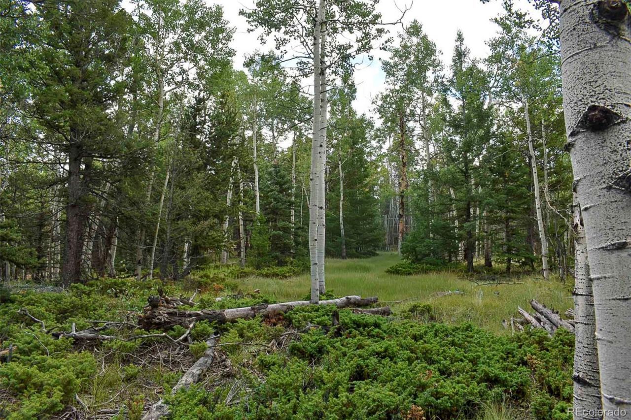 205 Timberline Drive, Guffey, CO 80820 Main Photo