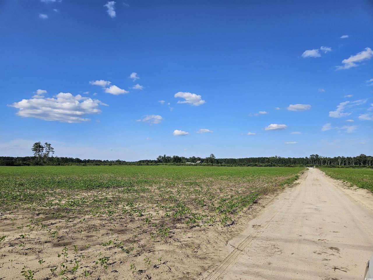 62.88 Acres-tbd Farguson Rd. Photo 2