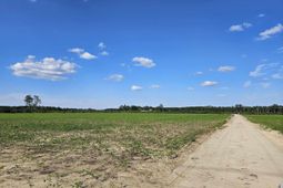 62.88 Acres-tbd Farguson Rd. photo 4