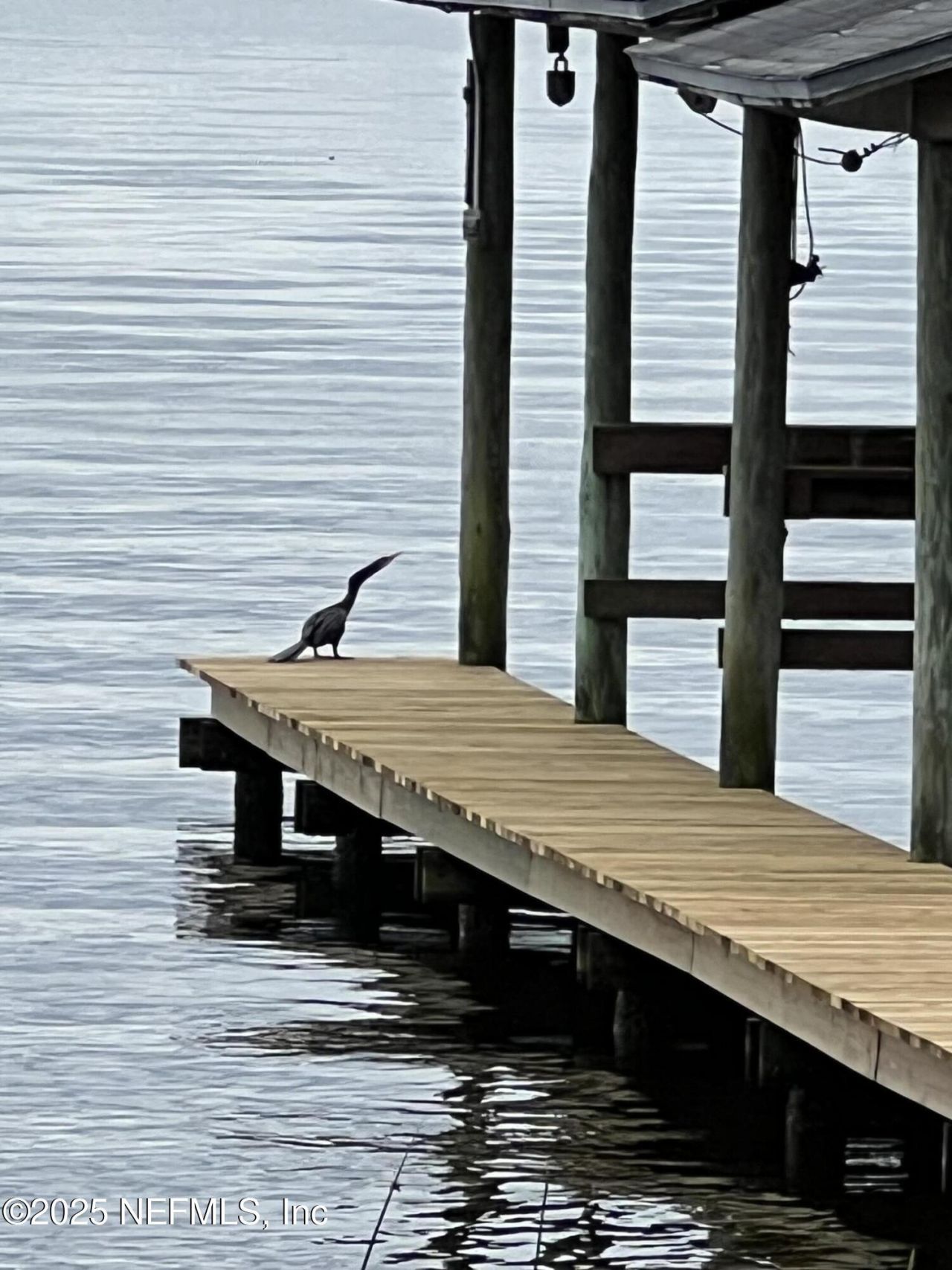 3235 Doctors Lake Drive, Orange Park, FL 32073 Photo