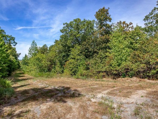 0 Porter Road, Shirley, AR 72153