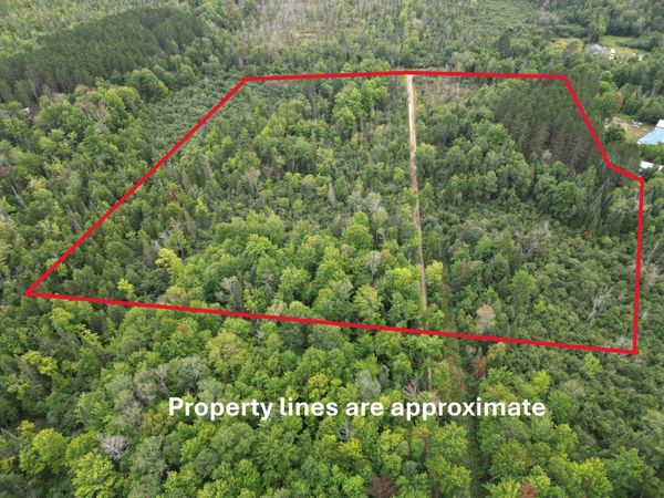 10.11 Acre SE Golden Road, Kalkaska, MI 49646