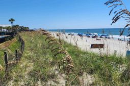 5905 Highway 17 South photo 4