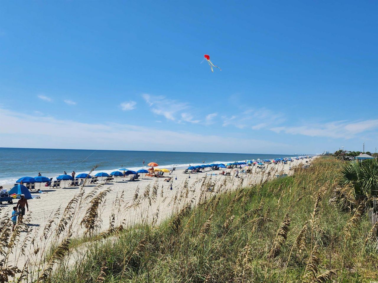 5905 Highway 17 South Photo 28