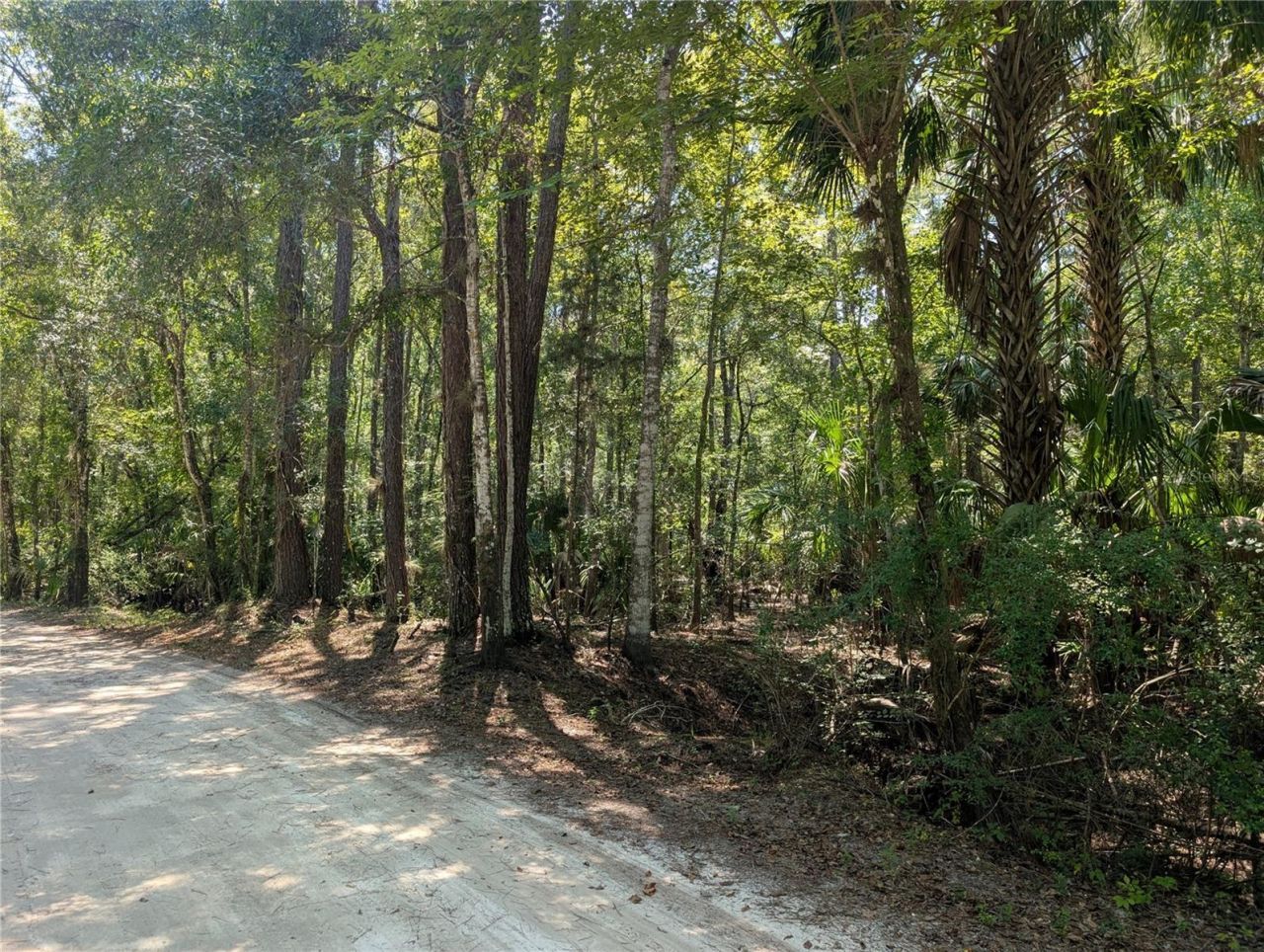 6252 E River Road, Hernando, FL 34442 Main Photo