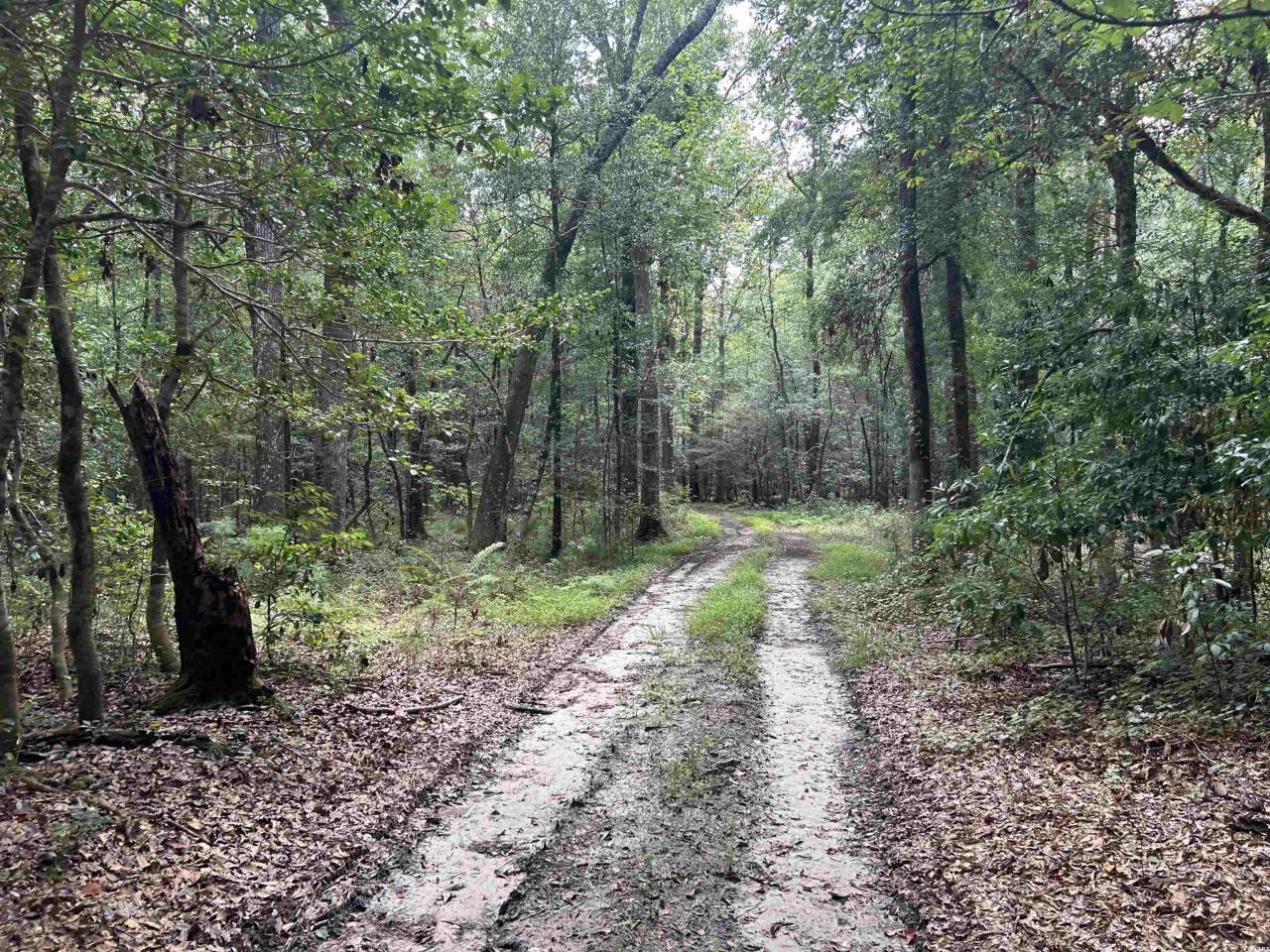 845 Old Buck Creek Rd. Photo 11