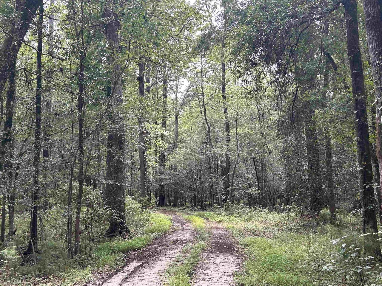 845 Old Buck Creek Rd. Photo 13