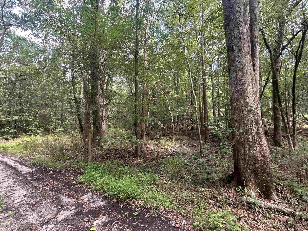 845 Old Buck Creek Rd. Photo 15